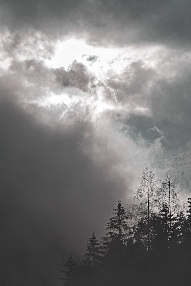 A dramatic display of clouds, light, and forest showcasing a stormy sky.