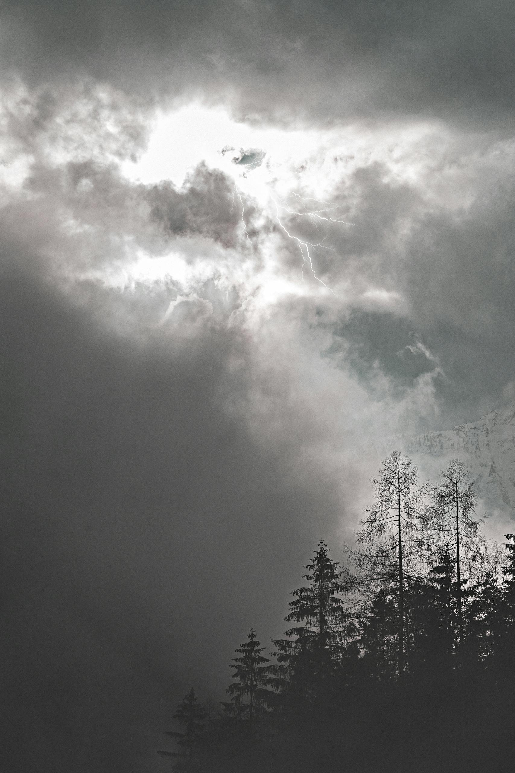A dramatic display of clouds, light, and forest showcasing a stormy sky.
