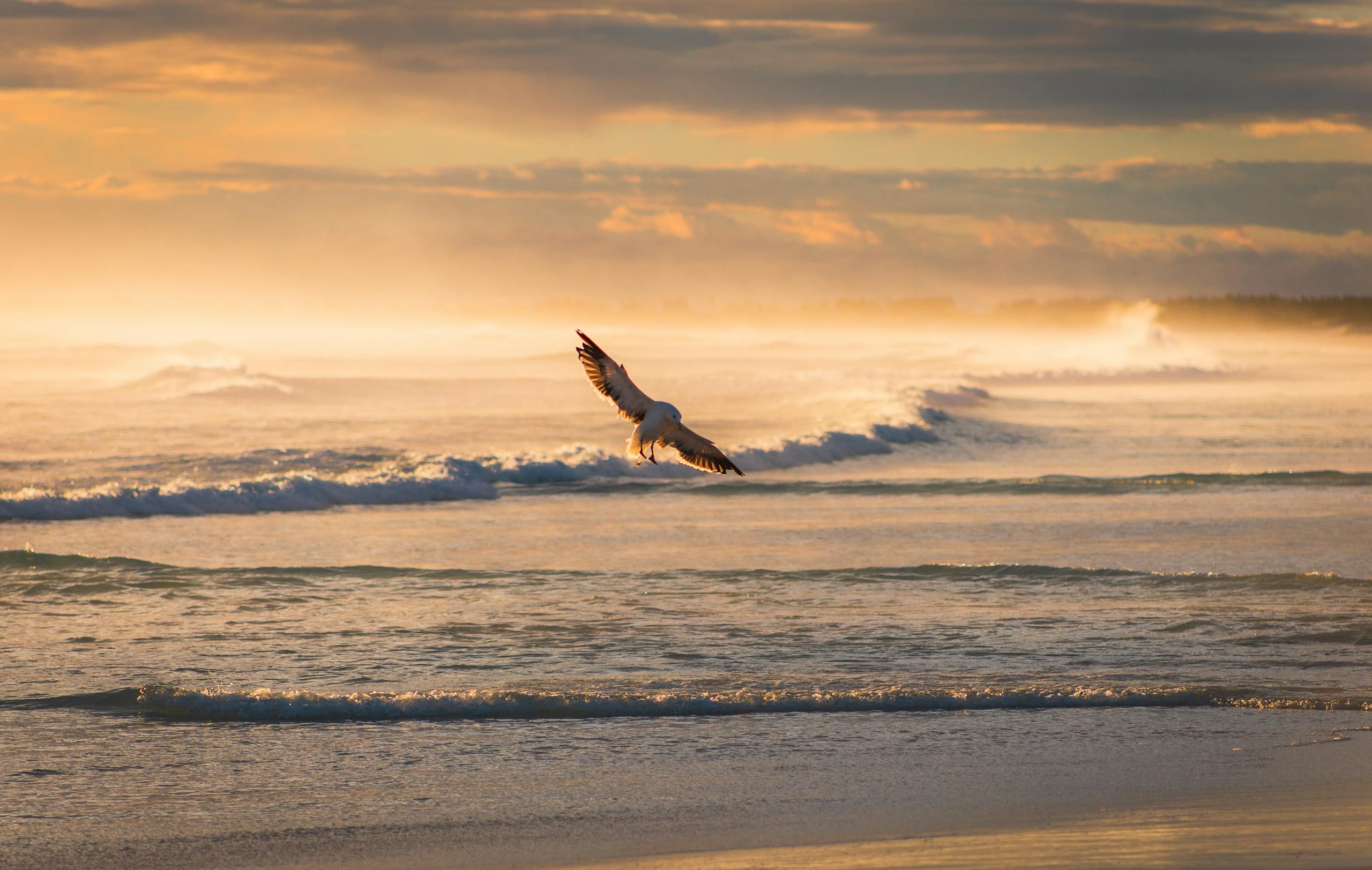 A seagull gracefully flies over the ocean waves at sunset in Arraial do Cabo, Brazil, showcasing nature's beauty.